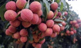 今日吃瓜热门大瓜必看大瓜网红.今日吃瓜榜单,网红榜单揭晓，吃瓜群众必看！